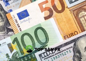 Phân tích đô la Mỹ 18/11: USD đã tìm được điểm dừng