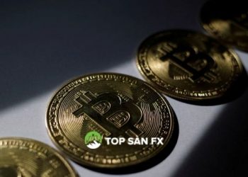 Cuộc biểu tình tiền điện tử nâng bitcoin lên mức cao nhất