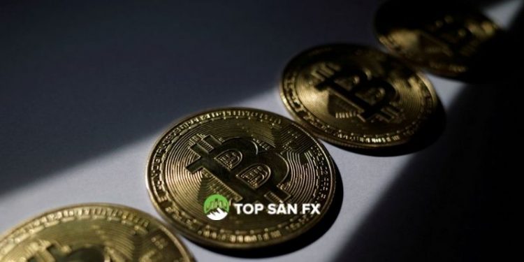 Cuộc biểu tình tiền điện tử nâng bitcoin lên mức cao nhất