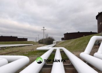 Giá dầu tăng do OPEC+ sẽ kìm hãm sản lượng tăng