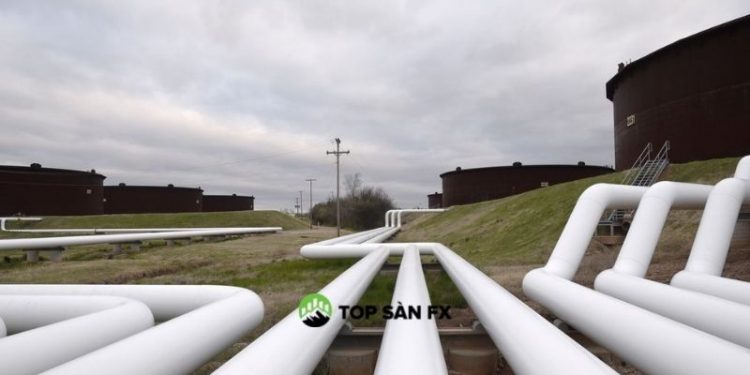 Giá dầu tăng do OPEC+ sẽ kìm hãm sản lượng tăng