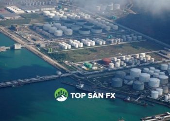 Dầu giảm sau khi Trung Quốc giải phóng xăng, dầu dự trữ