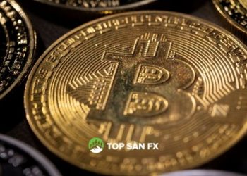 Bitcoin tăng 2,1% để thu lại 50.000 đô la