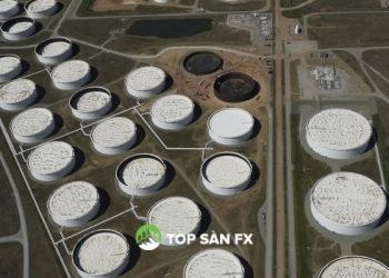 Giá dầu tăng khi nhu cầu nhiên liệu tăng