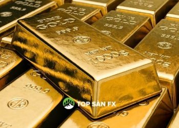 Tham gia quỹ đầu tư vàng có lợi nhuận không?