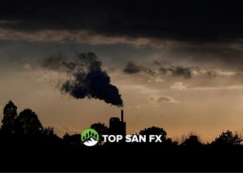 Các nhà sản xuất Anh lạc quan về năm 2022