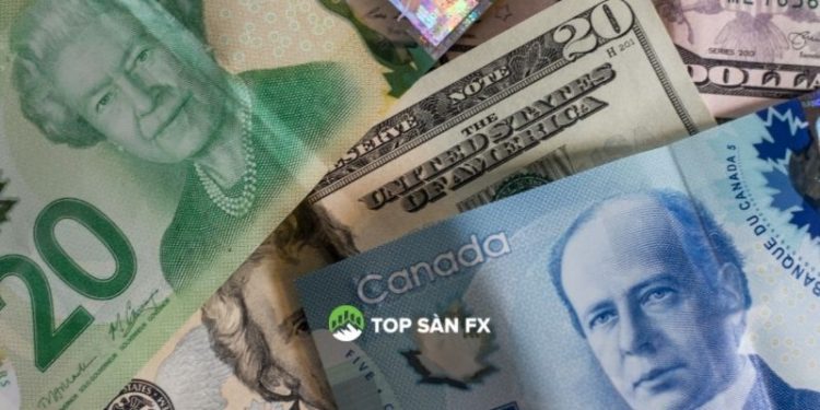 Phân tích USD/CAD 24/2: Giảm khỏi mức hỗ trợ hai tuần