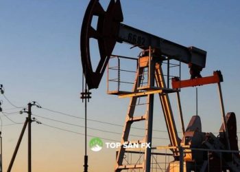 Giá dầu ở mức cao nhất trong 7