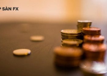 Những điều cần biết về TGE