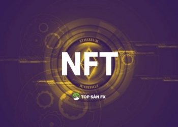 NFT là gì? Tương lai của NFT sẽ đi về đâu?