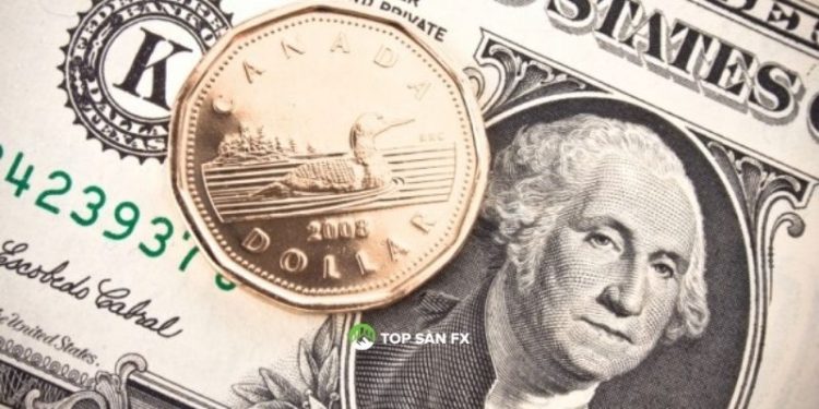 Phân tích USD/CAD 17/3: Bảo vệ hợp lưu 50/100-DMA