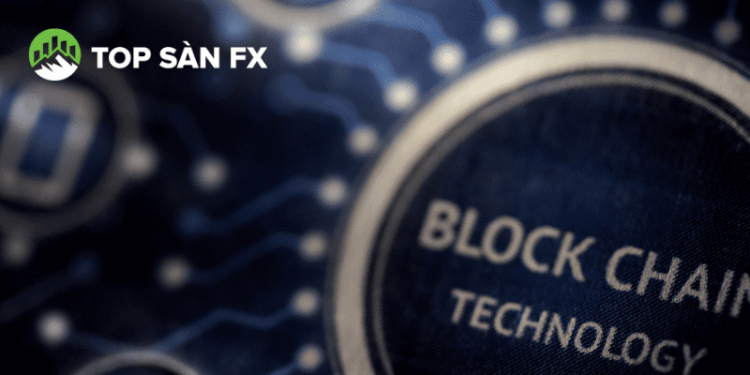 Crypto Launchpad là gì? Có nên đầu tư theo xu hướng thị trường?