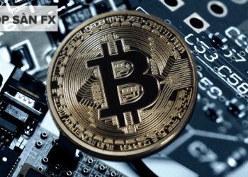 Giá Bitcoin rớt xuống đáy trong một tháng