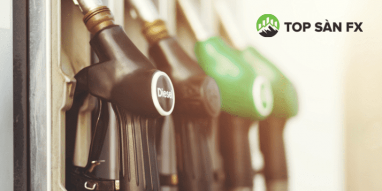 Xăng tăng, người Mỹ không muốn đi làm