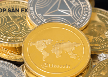 Coin nền tảng là gì? Các đồng coin nền tảng đáng để đầu tư