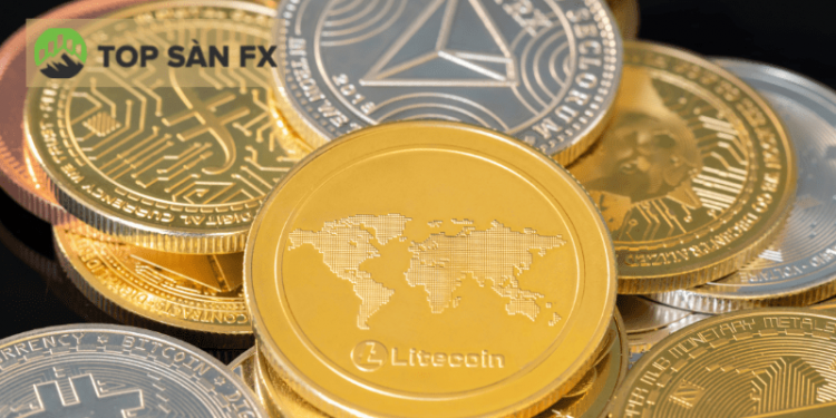 Coin nền tảng là gì? Các đồng coin nền tảng đáng để đầu tư