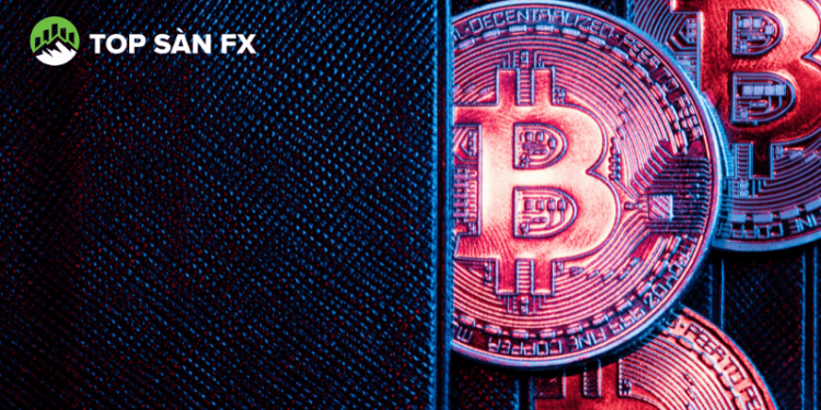 Giá Bitcoin giảm hơn một nửa, thị trường hỗn loạn