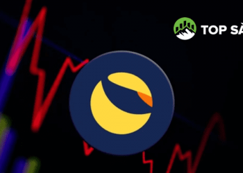 Luna – Cơn chấn động niềm tin vào coin top của nhà đầu tư