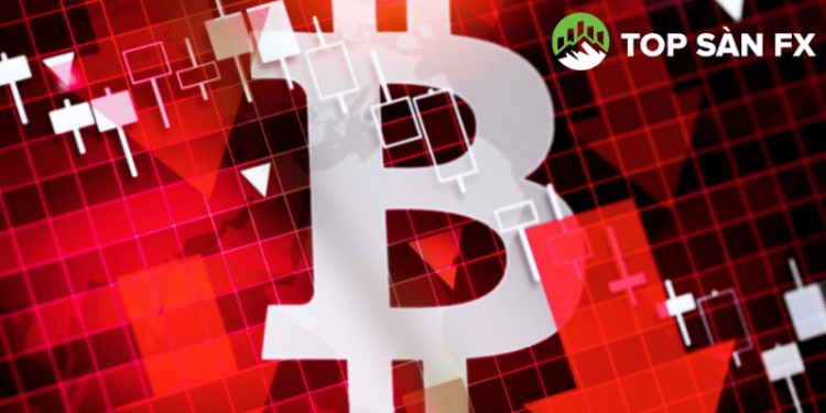 Bitcoin lại cắm đầu lao dốc không phanh