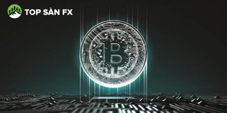 Bytecoin là gì? Cách sở hữu Bytecoin