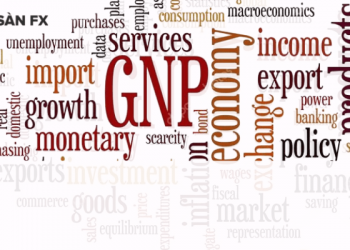 GNP là gì? Chỉ số GNP khác GDP như thế nào?