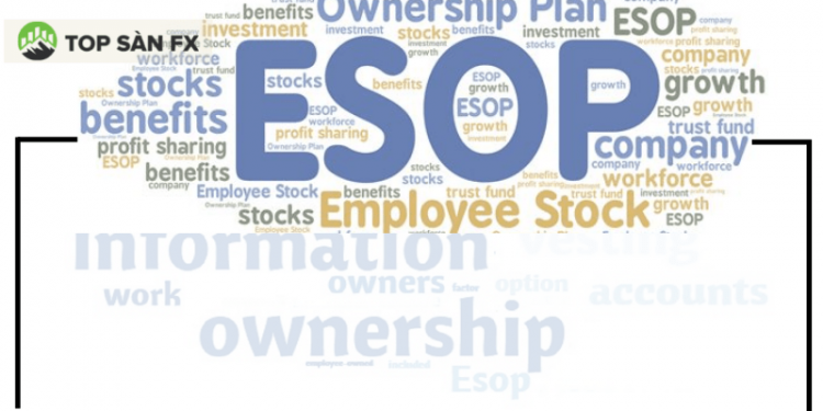Cổ phiếu ESOP là gì? Tất cả thông tin về cổ phiếu ESOP