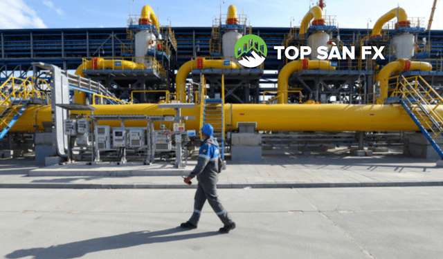 Dầu Nga ngày càng đắt đỏ