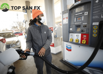 Giá xăng dầu biến động 6 tháng đầu năm