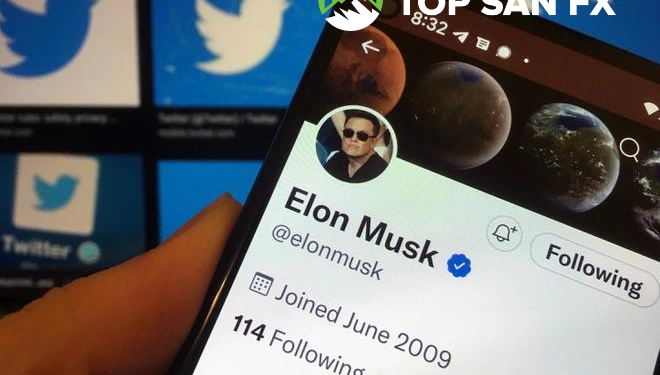 Cổ phiếu Twitter lao dốc