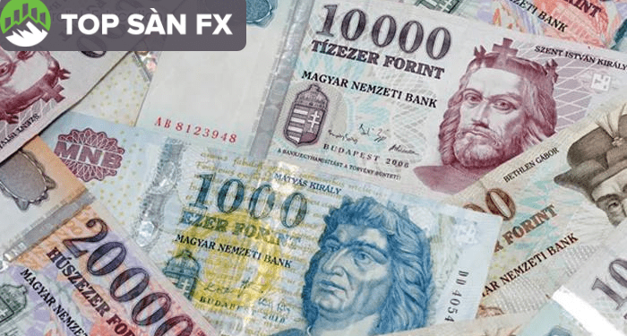 Đồng Hungary mất giá chạm mốc