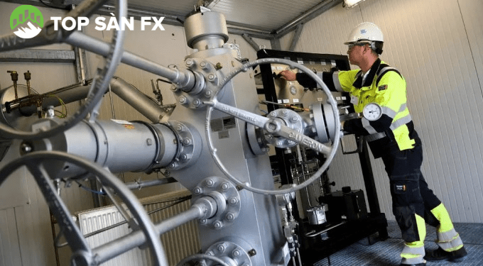 Hãng năng lượng top 1 của Đức