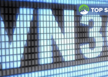 Quỹ ETF MAFM VN30 là gì?