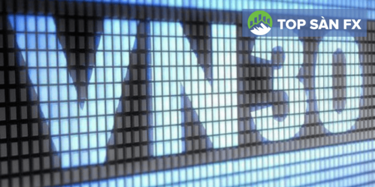 Quỹ ETF MAFM VN30 là gì?