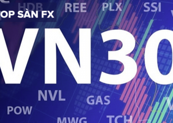 Quỹ SSI VN30 là gì?