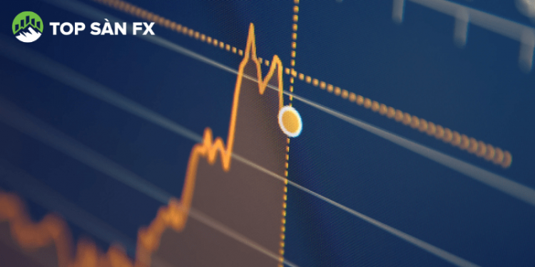 Quỹ thành viên là gì?