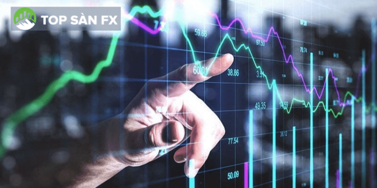 Quỹ VN100 là gì?