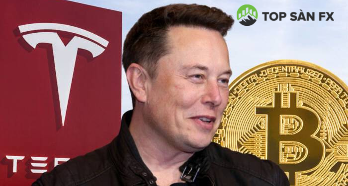 Tesla bán hơn 900 triệu USD Bitcoin