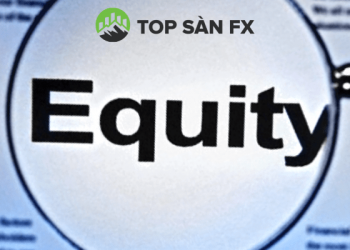 Vốn chủ sở hữu là gì?