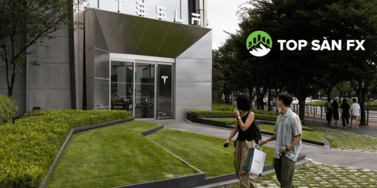 Người Hàn Quốc hy vọng đổi đời nhờ cổ phiếu Tesla