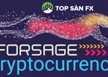 Mô hình Forsage lừa đảo