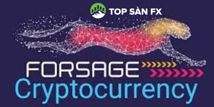 Mô hình Forsage lừa đảo