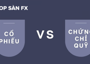 Các nhà đầu tư F0 nên chọn chứng chỉ quỹ hay cổ phiếu