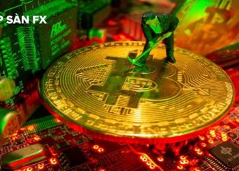 Công ty đào Bitcoin lớn nhất có nguy cơ phá sản