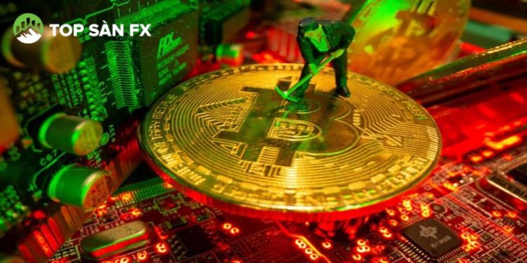 Công ty đào Bitcoin lớn nhất có nguy cơ phá sản