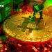 Công ty đào Bitcoin lớn nhất có nguy cơ phá sản