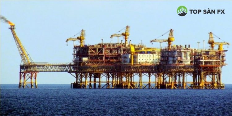 Dầu mỏ bật tăng từ đáy