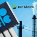 Giá dầu thế giới sụt giảm nặng, OPEC+ cắt giảm 2 triệu thùng dầu/ngày