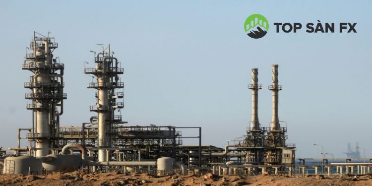 Ai Cập cắt giảm khí đốt