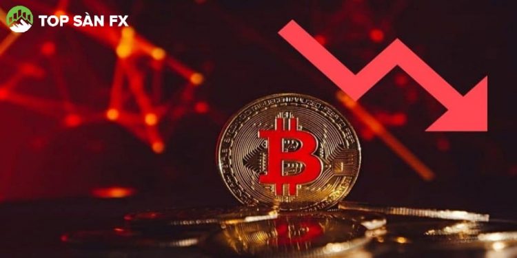 Bitcoin chạm đáy, Crypto đỏ rực