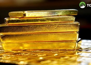 Các ngân hàng trung ương thi nhau mua vàng